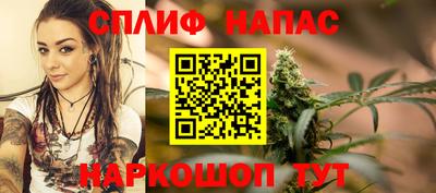 гидра Пушкино