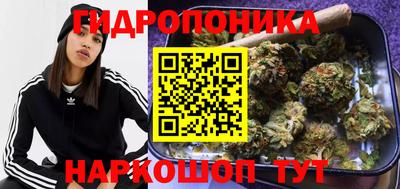 PSILOCYBIN Пугачёв