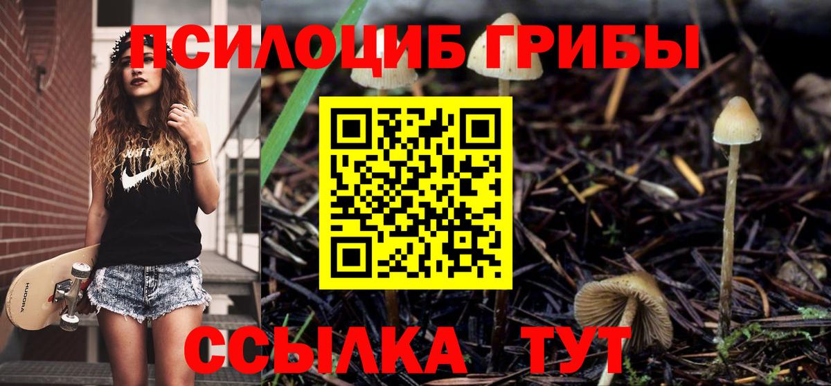 Галлюциногенные грибы прущие грибы Тавда