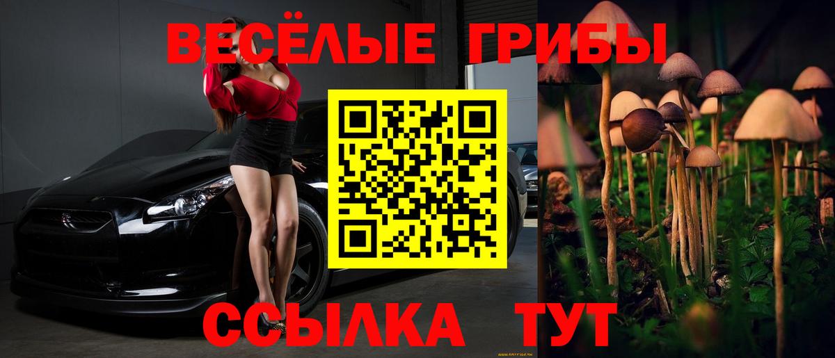 Тавда  Псилоцибиновые грибы мухоморы  Вход с VPN  Псилоцибиновые грибы Psilocybine cubensis 
